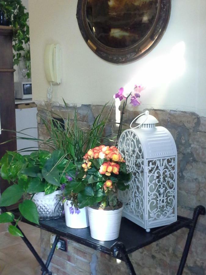 B&B Happiness In The Country 布雷谢洛 外观 照片